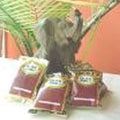 Ola’s Exotic African Bitter Leaf Coffee - Decaf